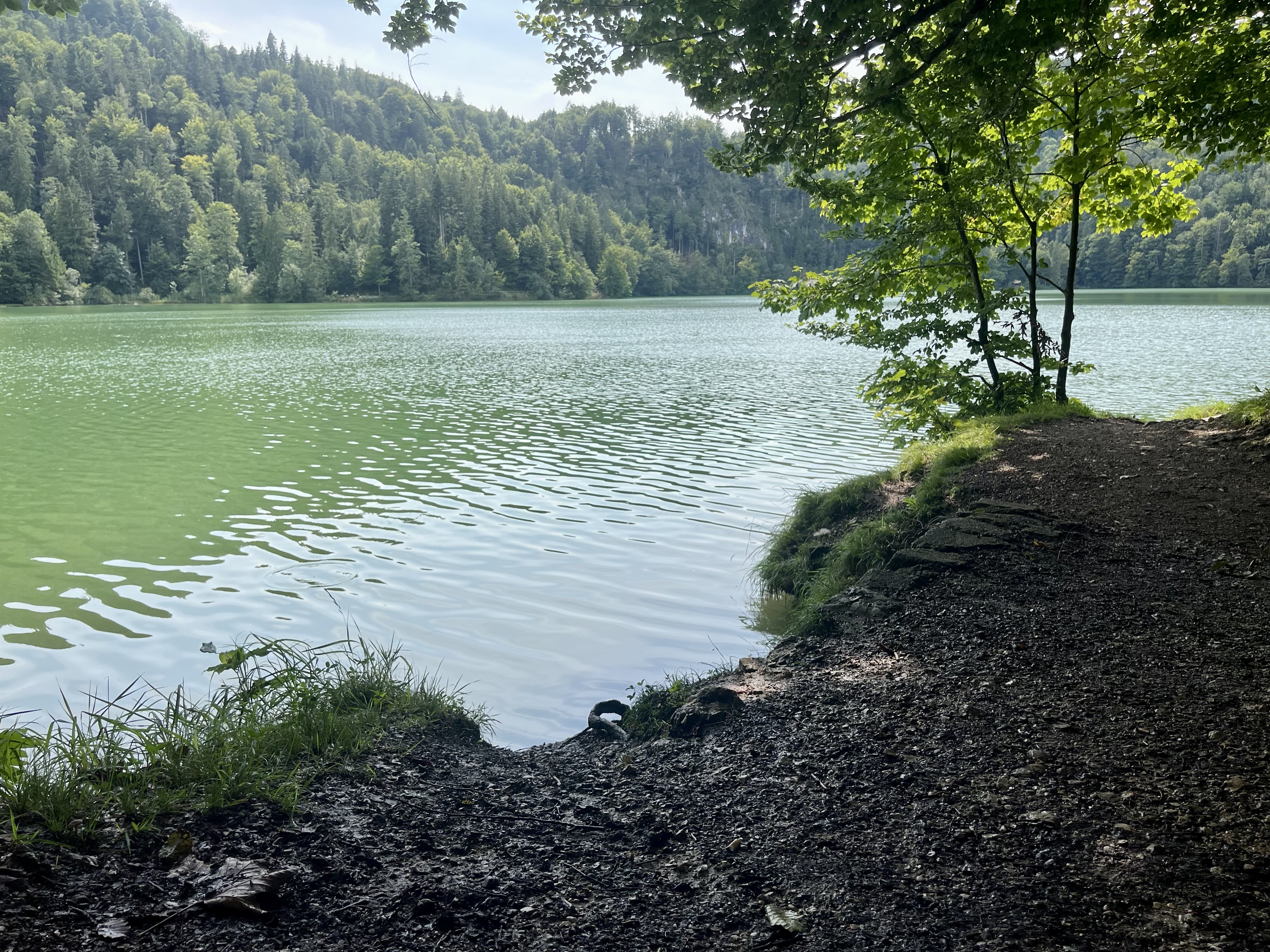 Hechtsee - Herkunft des Namens